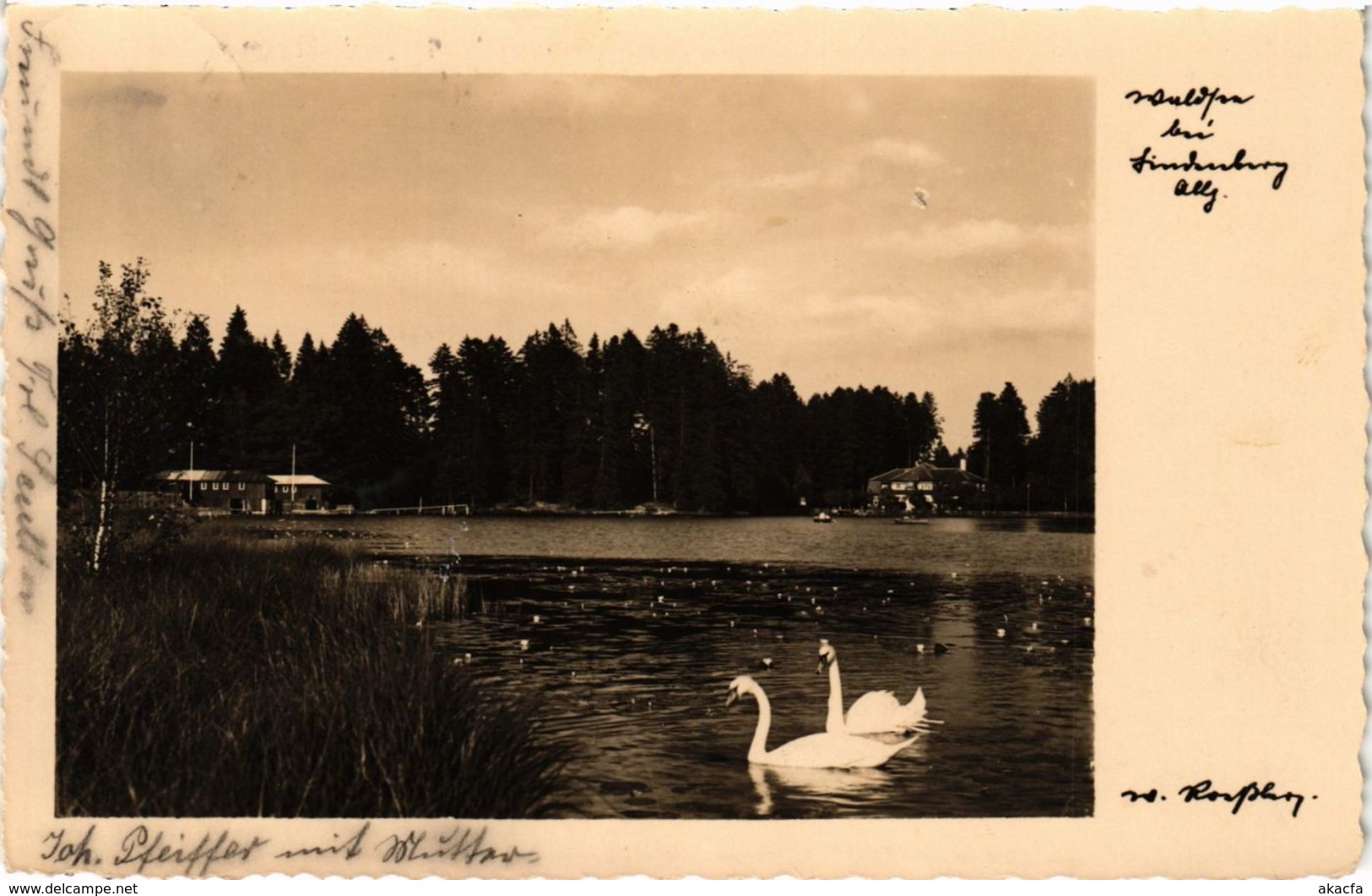 CPA AK LINDENBERG I. ALLGÄU Waldsee GERMANY (865958) - Lindenberg I. Allg.