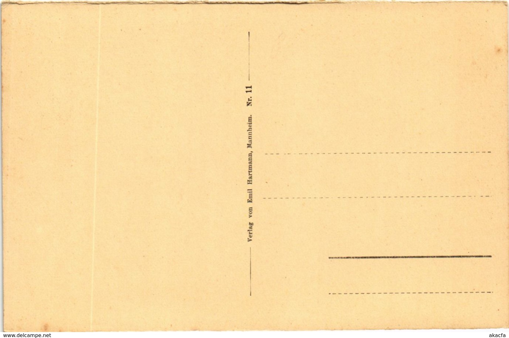 CPA AK WASSERBURG A. BODENSEE GERMANY (866160) - Wasserburg (Bodensee)