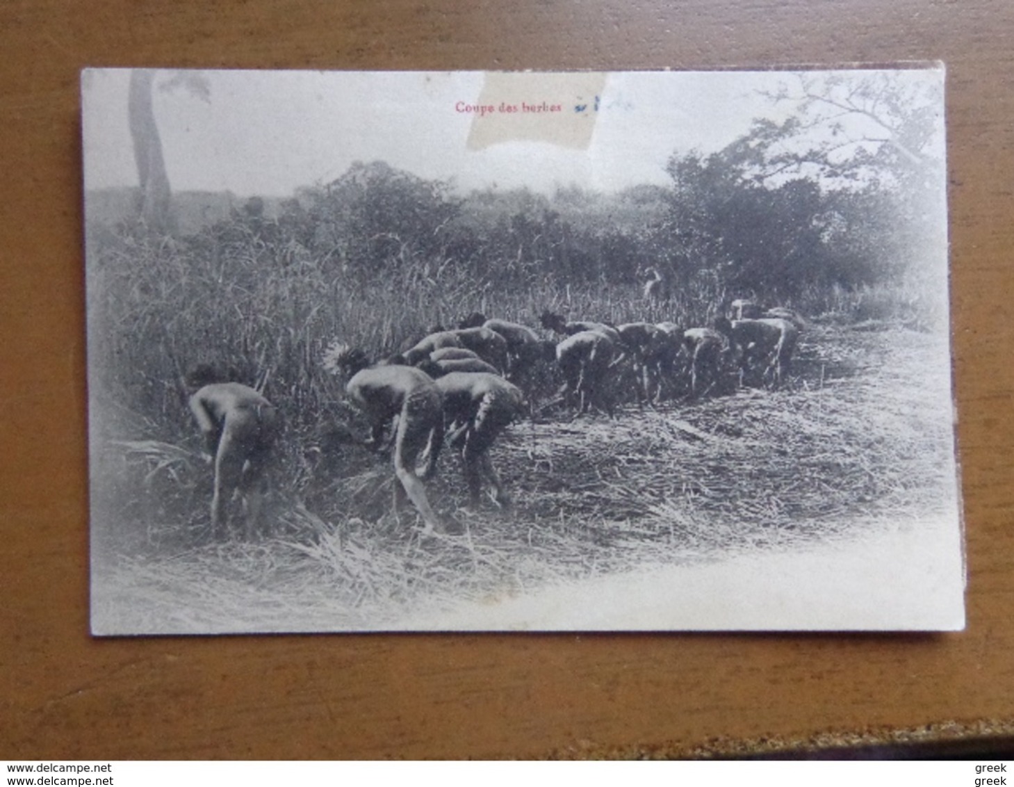 37 old cards of AFRICA (see pictures)