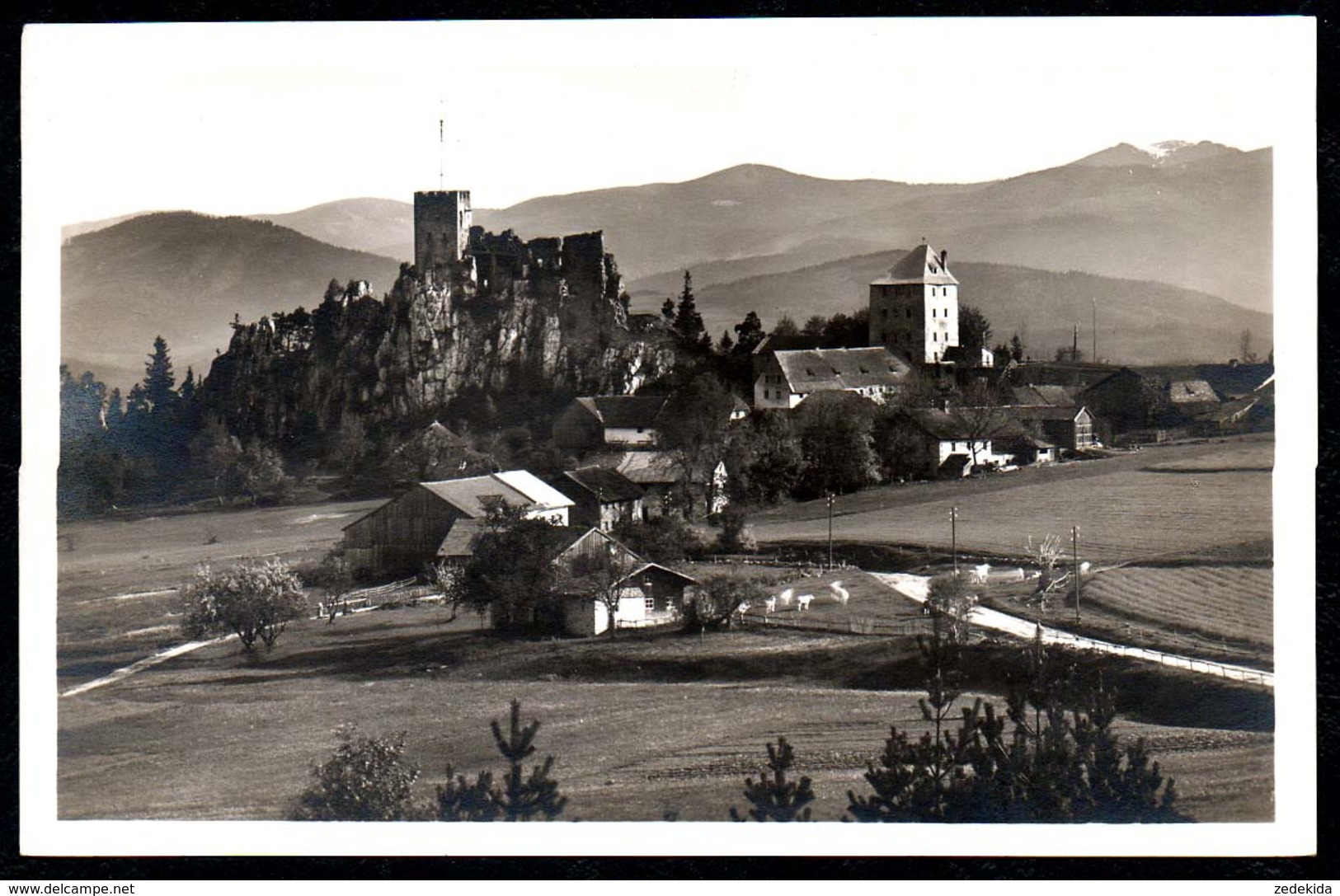 C8541 - Regen Ruine Weißenstein - Ed. Sailer Kirchberg Und A. Pech - Regen