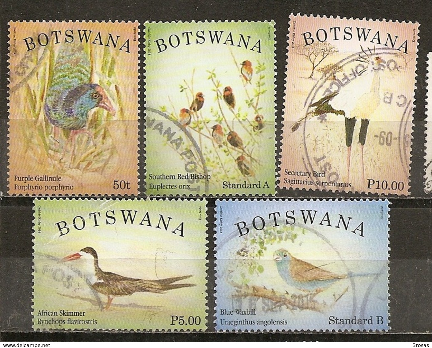 Botswana 2014 Oiseaux Birds Obl - Botswana (1966-...)