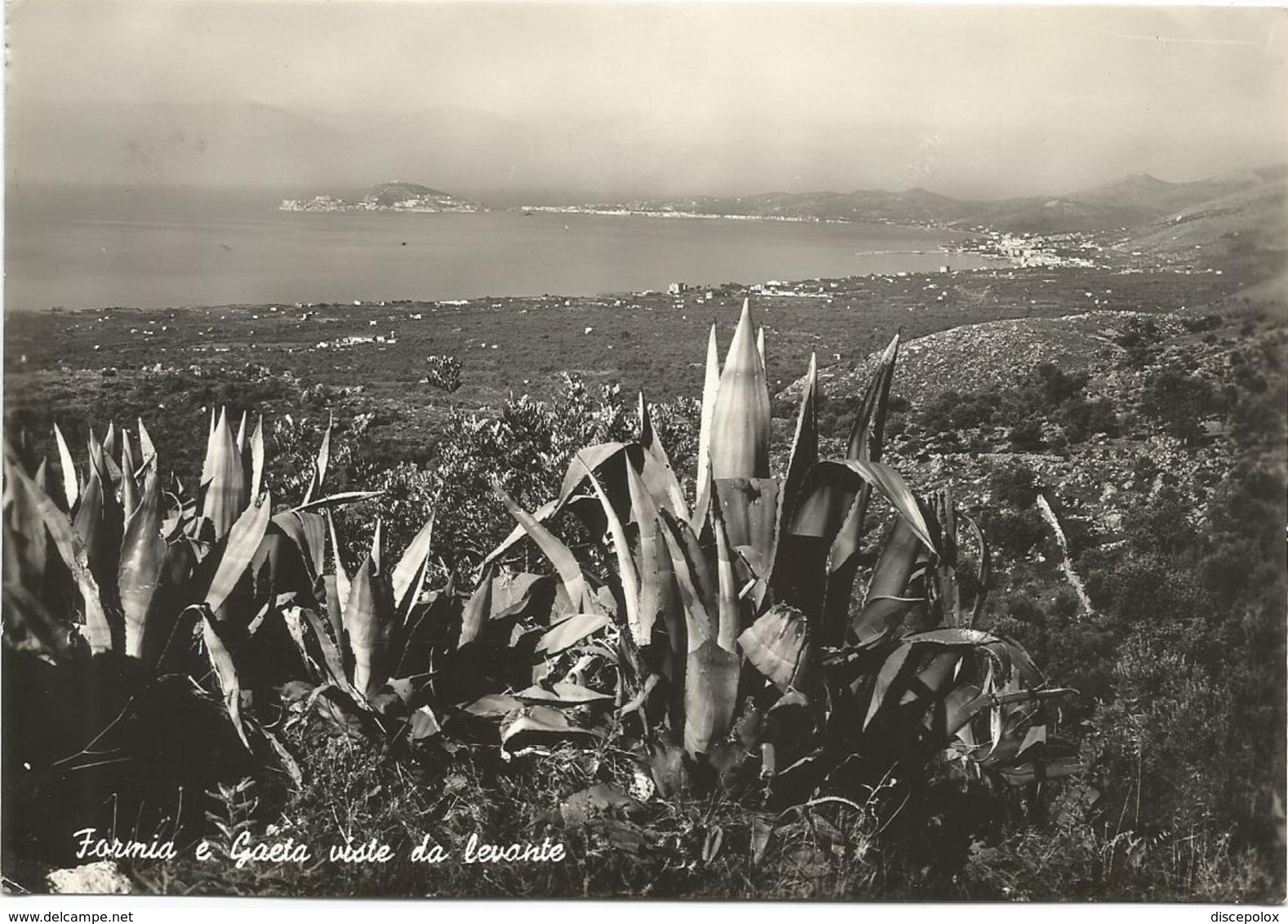 W4967 Formia E Gaeta (Latina) - Panorama Da Levante / Viaggiata 1962 - Altri & Non Classificati