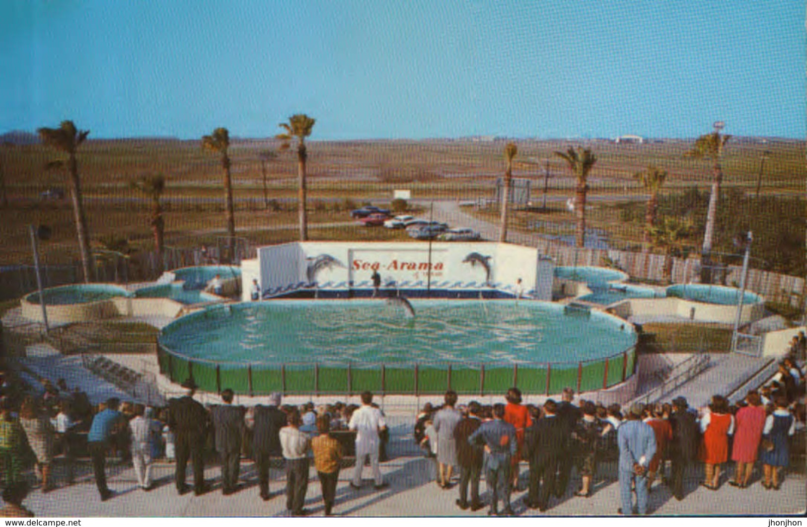 United States - Postcard Unused -  Porpoise Show Sea Arama Of Texas Galveston - Dolphinarium , Texas - Galveston