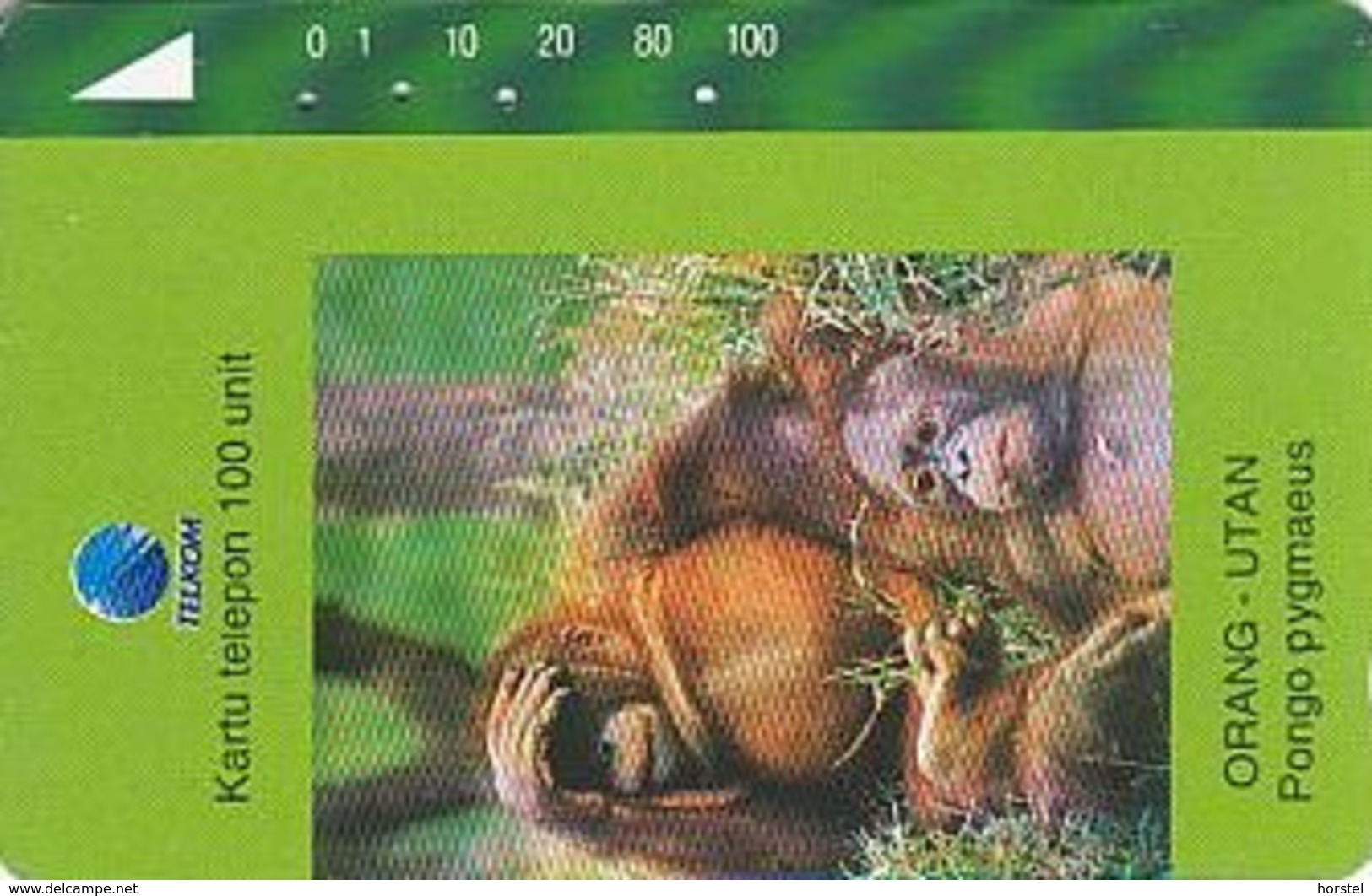 Indonesien - IND 234 WILD LIFE - ORANG - UTAN - Indonesien