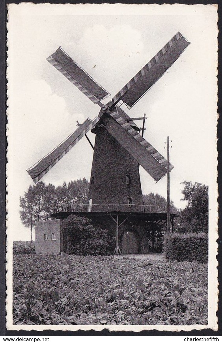 1942 - WEELDE * DE STEENE MOLEN * Zeldzaam !! Molen - Moulin - Mill - Ravels