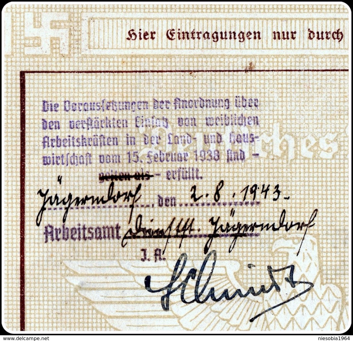 WW2 Socialist Germany Deutsches Reich Arbeitsbuch  Troppau / Opava  Reichsgau Sudetenland - Margit Pflieger 1942