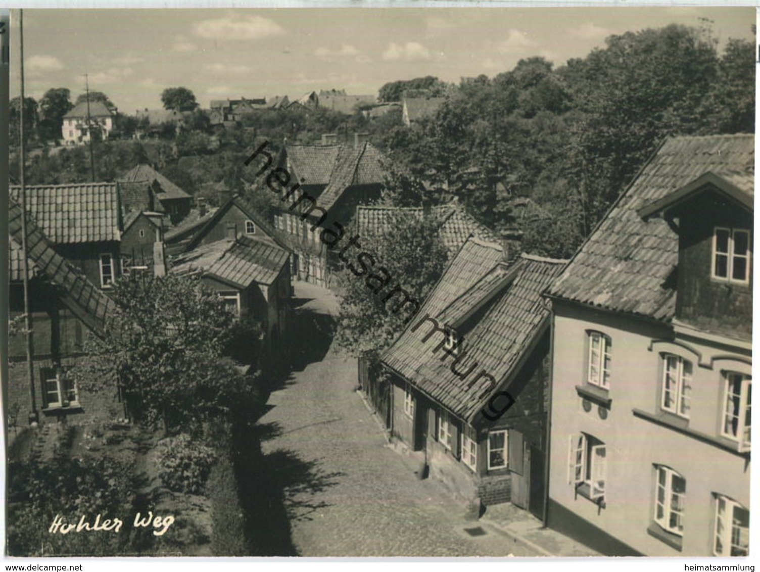 Lauenburg - Elbe - Hohler Weg - Foto-AK - Bildverlag Schwarz Lauenburg 50er Jahre - Lauenburg