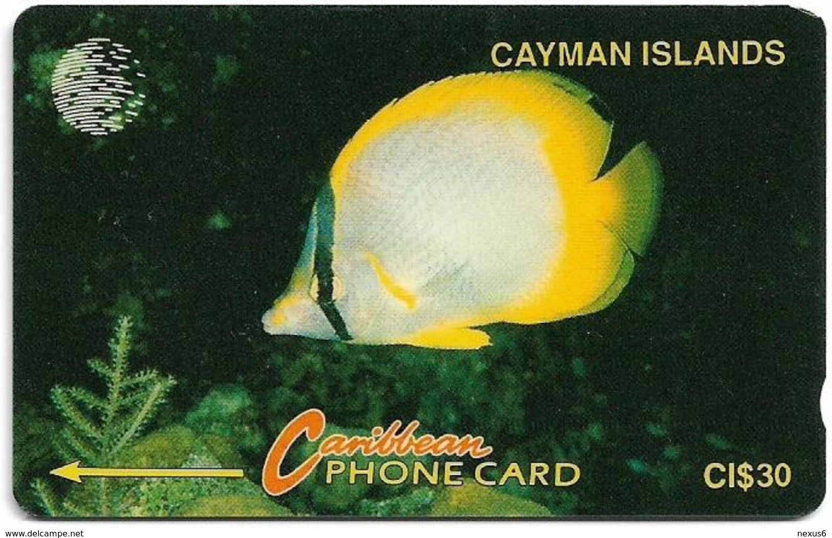 Cayman Isl. - Yellow Fish, 5CCIB, 1992, 9.905ex, Used - Kaimaninseln (Cayman I.)