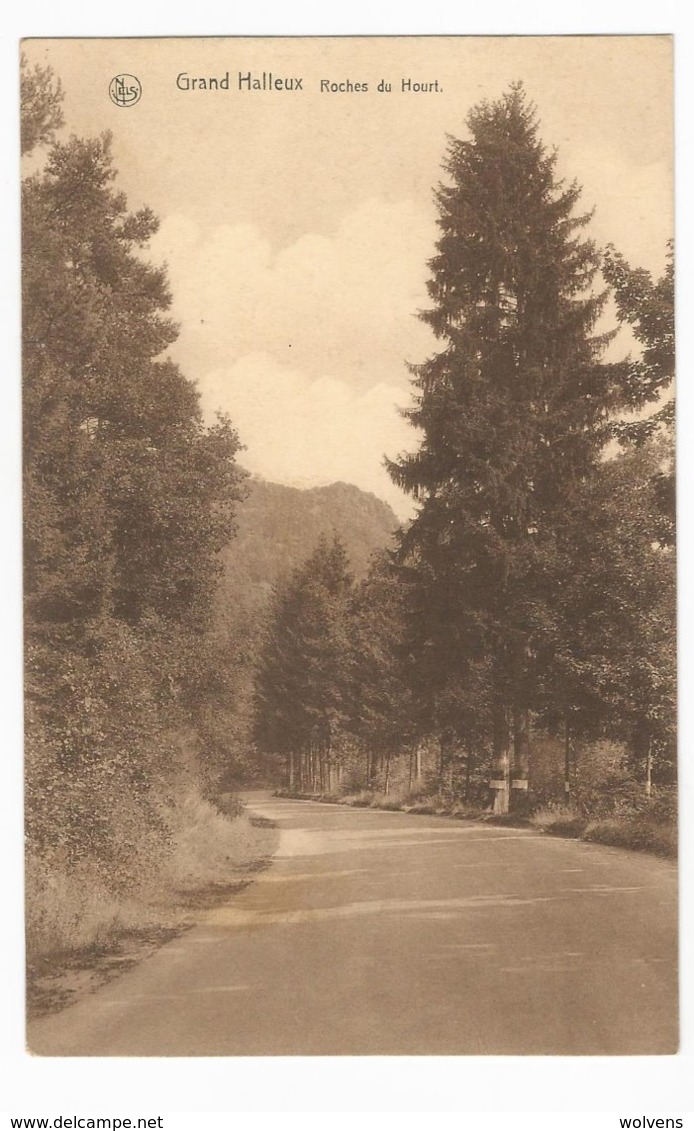 Grand-Halleux Roches Du Hourt Carte Postale Ancienne Grand Halleux Vielsalm - Vielsalm