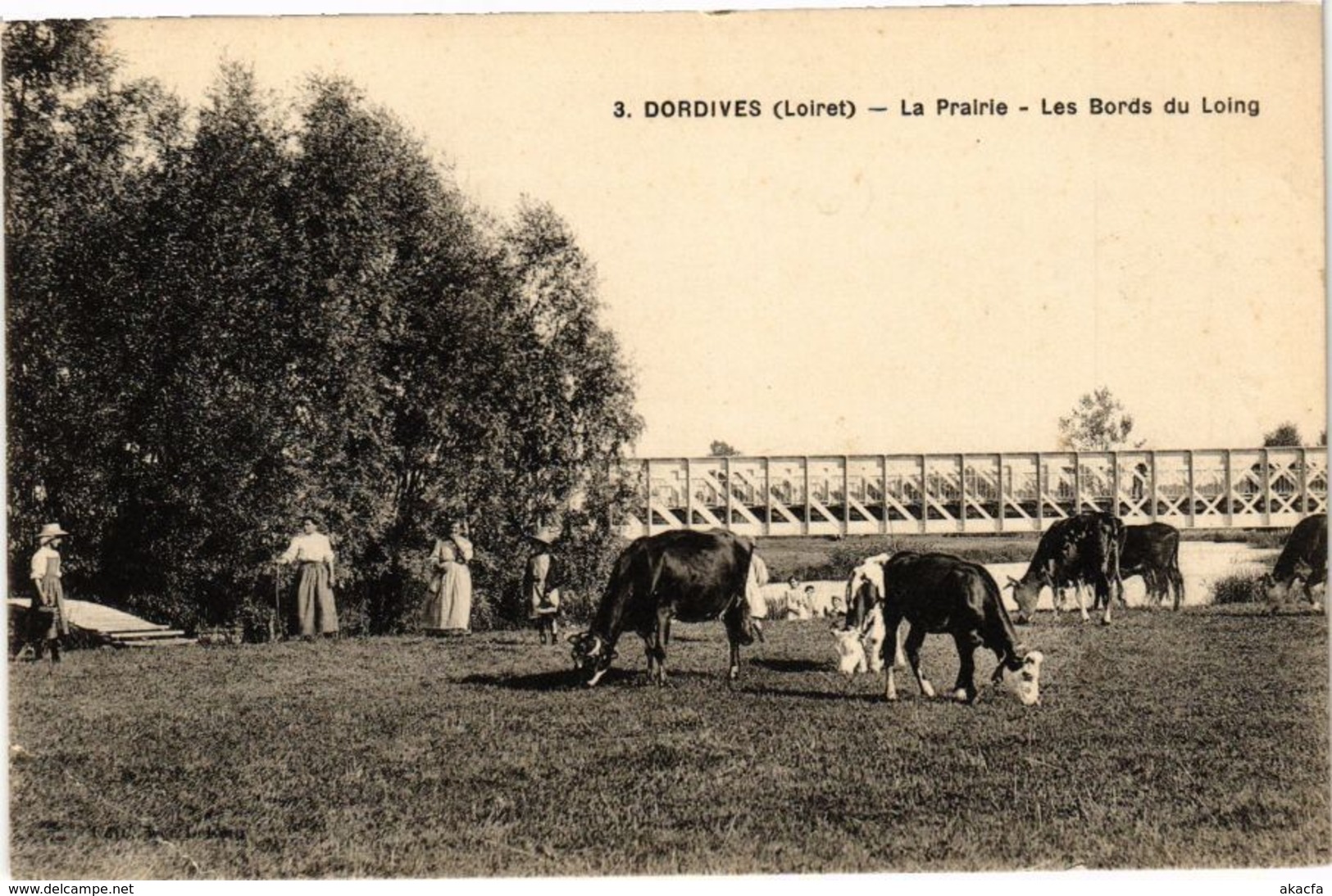 CPA DORDIVES-La Prairie-Les Bords Du LOING (264945) - Dordives