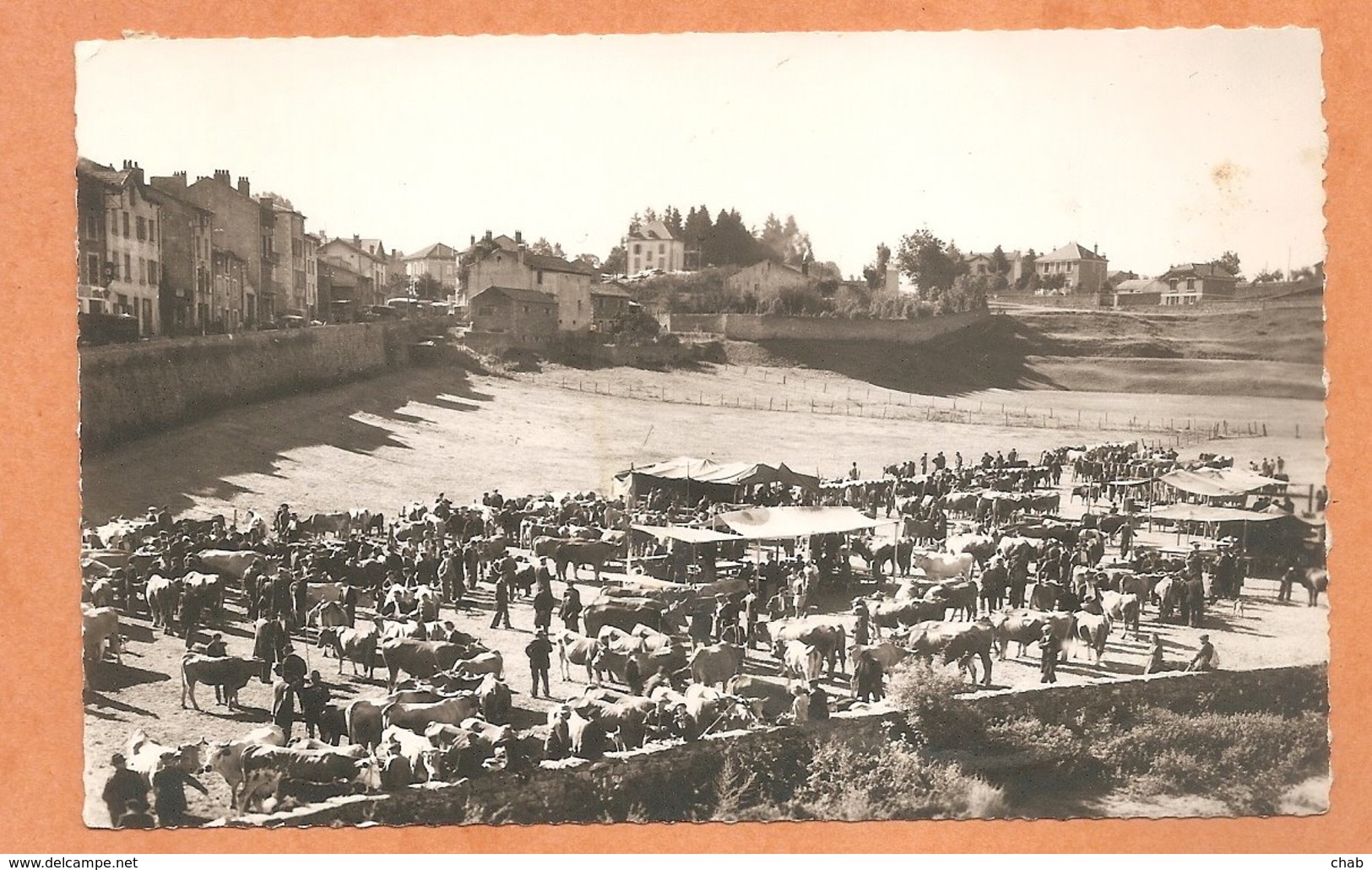 C.P.S.M. - LANGOGNE (Lozére) - Le Pré De La Foire -- FOIRE - BOEUF - VACHES - Langogne