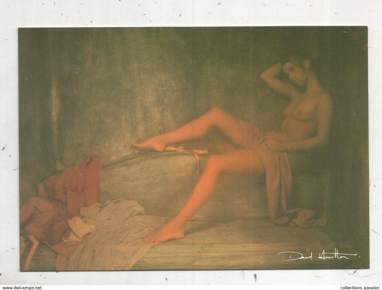 Cp, 170 X 115 Mm , Photographe ,DAVID HAMILTON , Ed. Agep,n° 001 47 , Vierge - Otros & Sin Clasificación