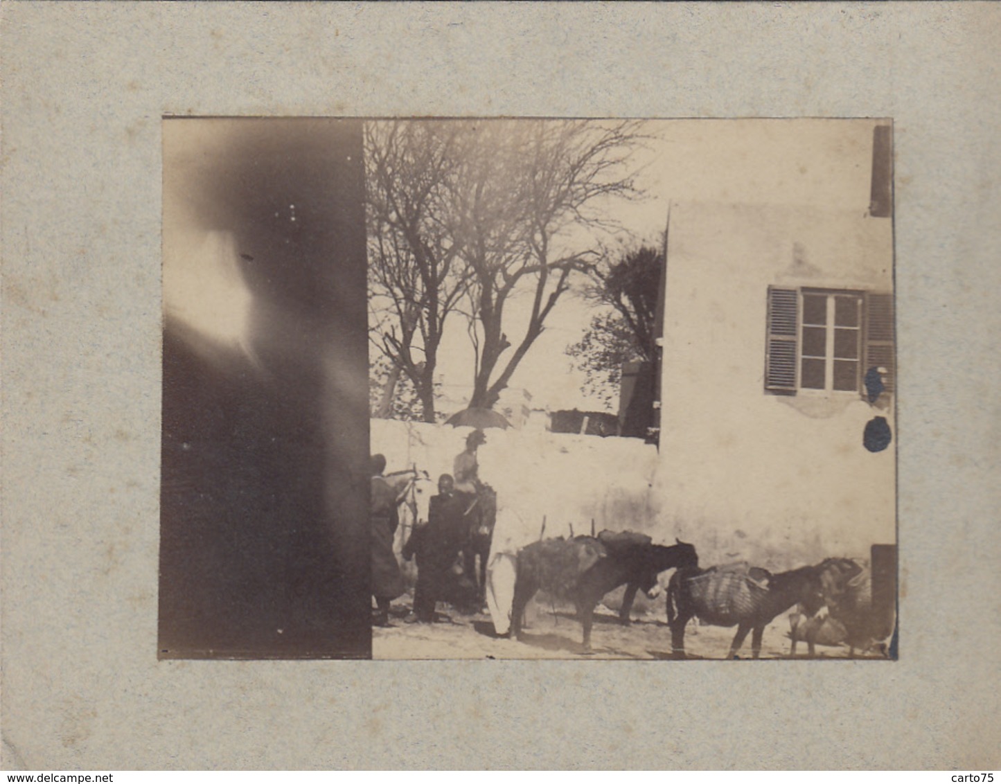 Photographie - Photographie Fin XIXème Siècle - Petits ânes - Arrivée Transports Bagages Dos De Mulets - Maroc ? - Fotografie