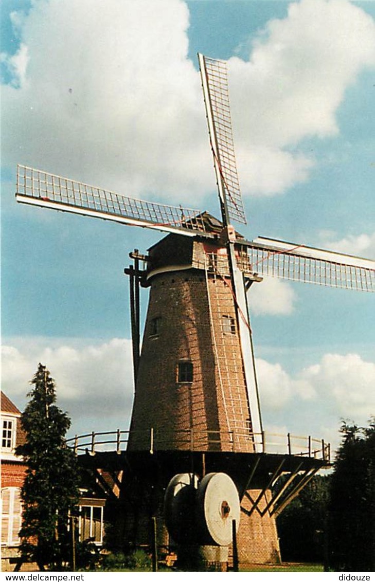 59 - Halluin - Le Moulin à Vent - Voir Scans Recto-Verso - Autres & Non Classés