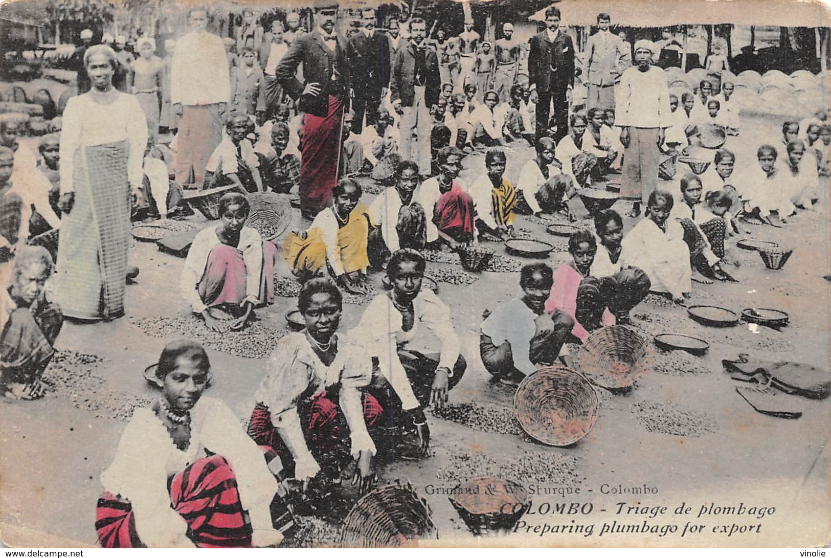 A-19-4880 : COLOMBO. TRIAGE DE PLOMBAGO. PREPARING PLUMBAGO FOR EXPORT. - Sri Lanka (Ceylon)