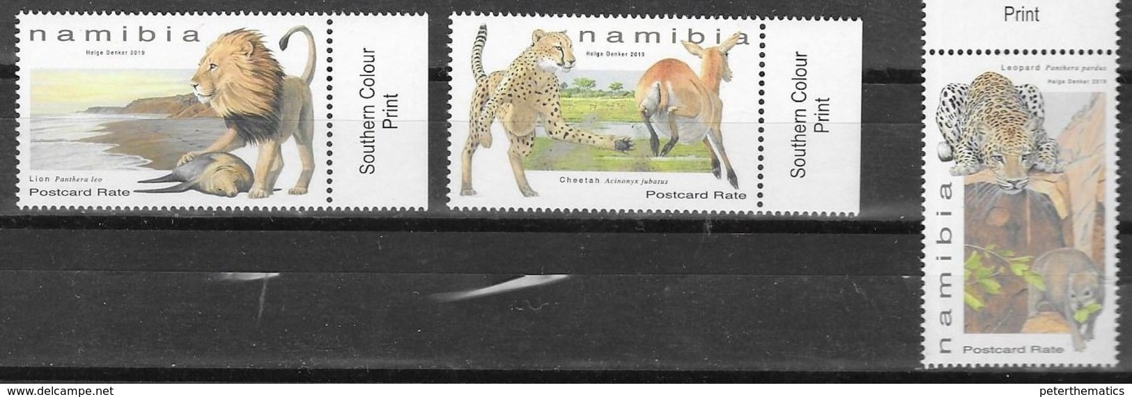 NAMIBIA, 2019, MNH,FELINES, BIG CATS, LIONS, CHEETAHS, LEOPARDS, 3v - Big Cats (cats Of Prey)