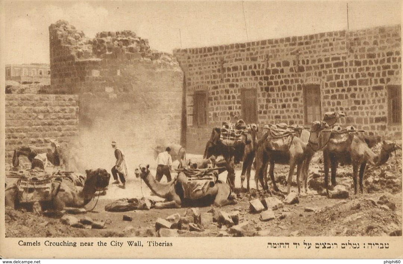 ISRAEL  -  TIBERIAS  -   Camels Crouching Near The City Wall - Israele