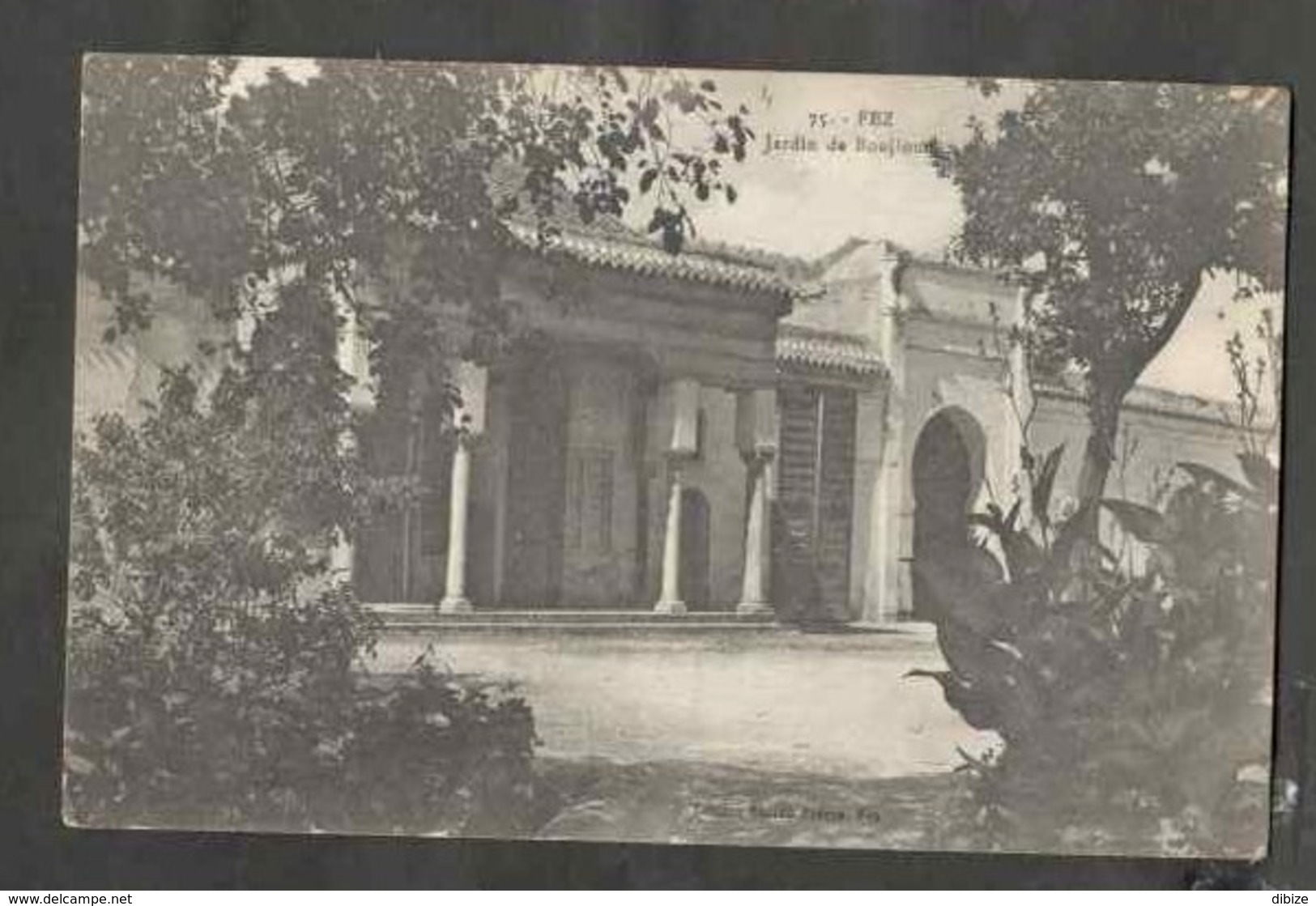 CPSM. Maroc. Fès. Jardin De Boujloud. Circulé. 1917. - Trees
