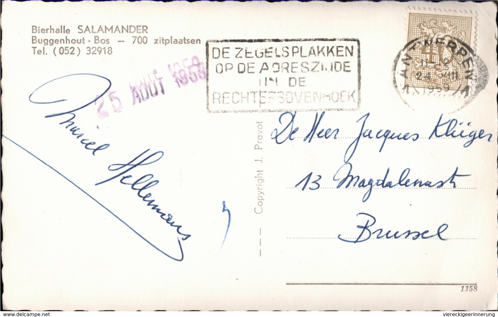 ! Ansichtskarte Aus  Buggenhout Bos, Groeten Uit, Bierhalle Salamander, 1959, Ostflandern, Belgien - Buggenhout