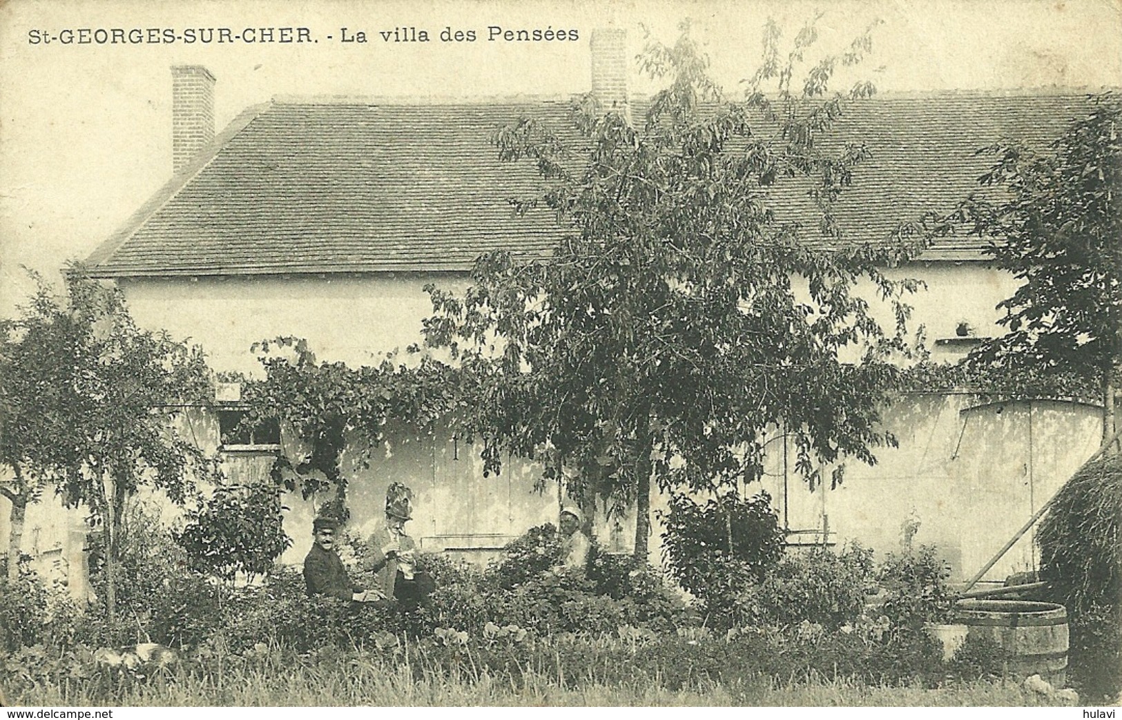 41  SAINT GEORGES SUR CHER - LA VILLA DES PENSEES (ref 6438) - Autres & Non Classés