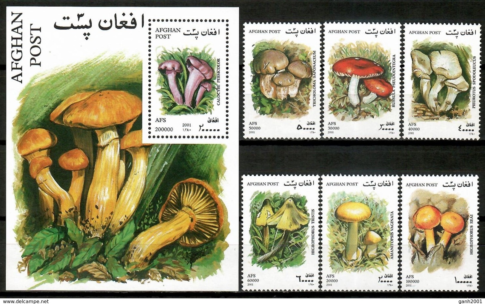 Afghanistan 2001 / Mushrooms MNH Setas Pilzen Champignons / Cu14735  18-32 - Hongos