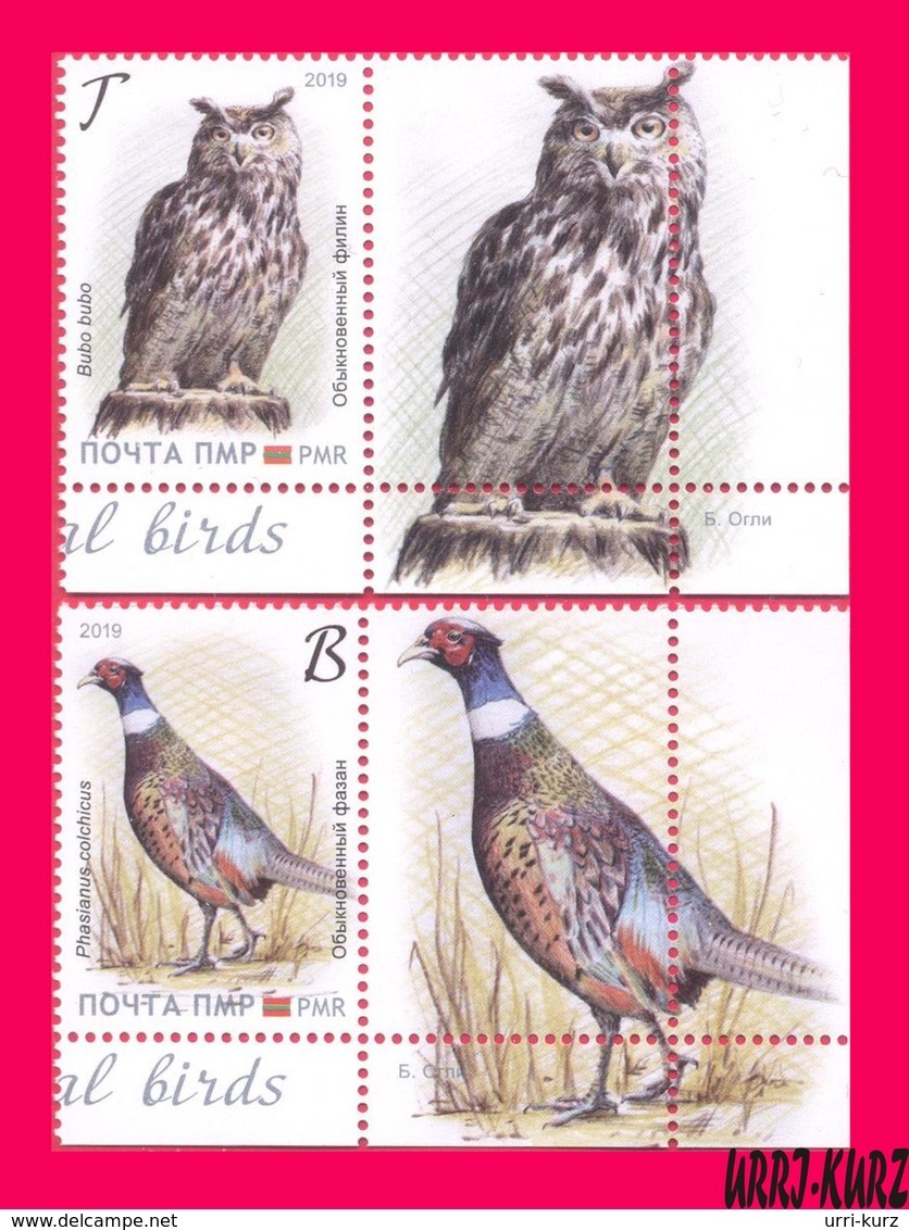 TRANSNISTRIA 2019 Europa CEPT Theme Nature Fauna National Birds Owl Pheasant 2v+2 Labels MNH - 2019