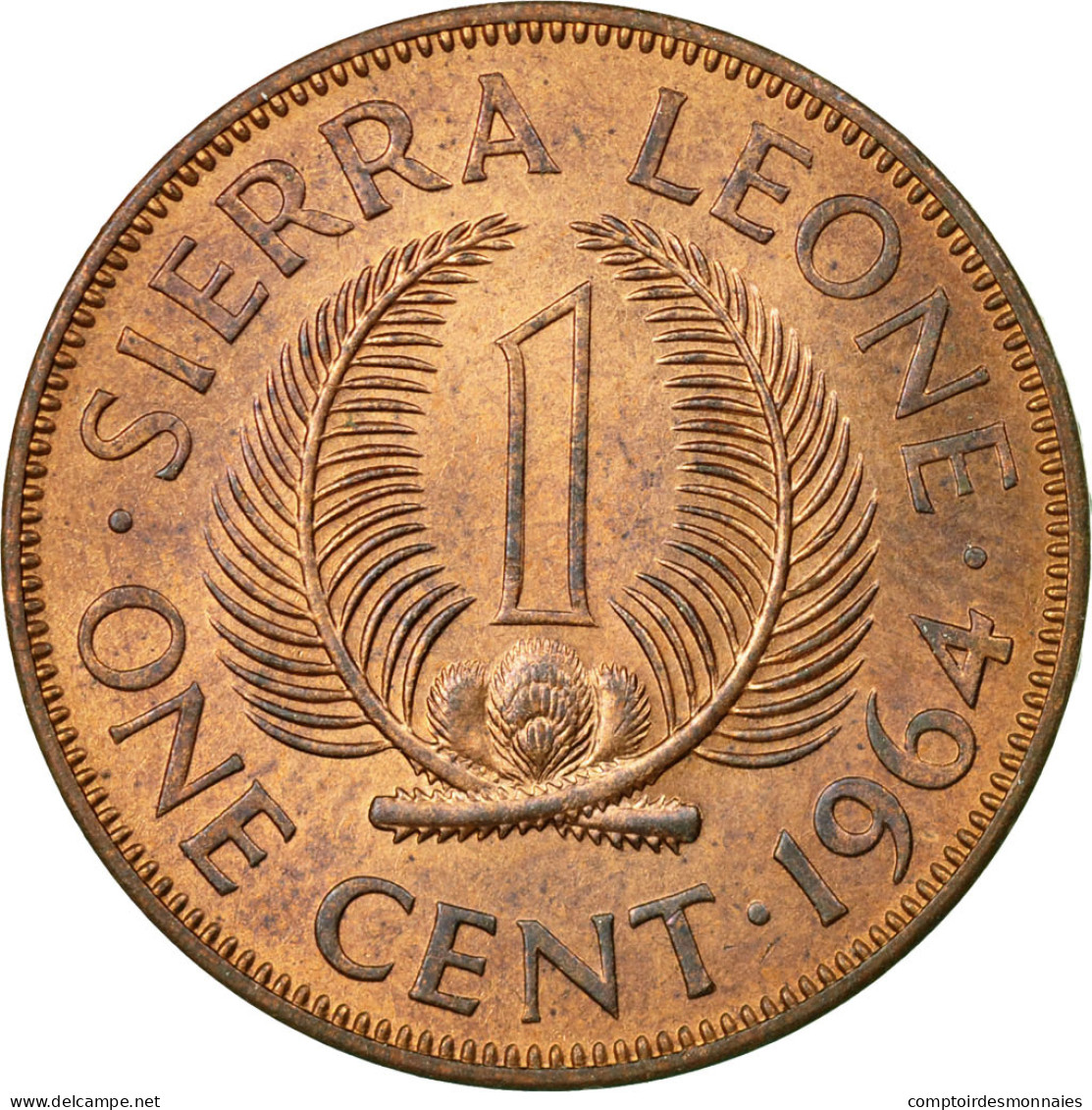 Monnaie, Sierra Leone, Cent, 1964, British Royal Mint, TTB, Bronze, KM:17 - Sierra Leone