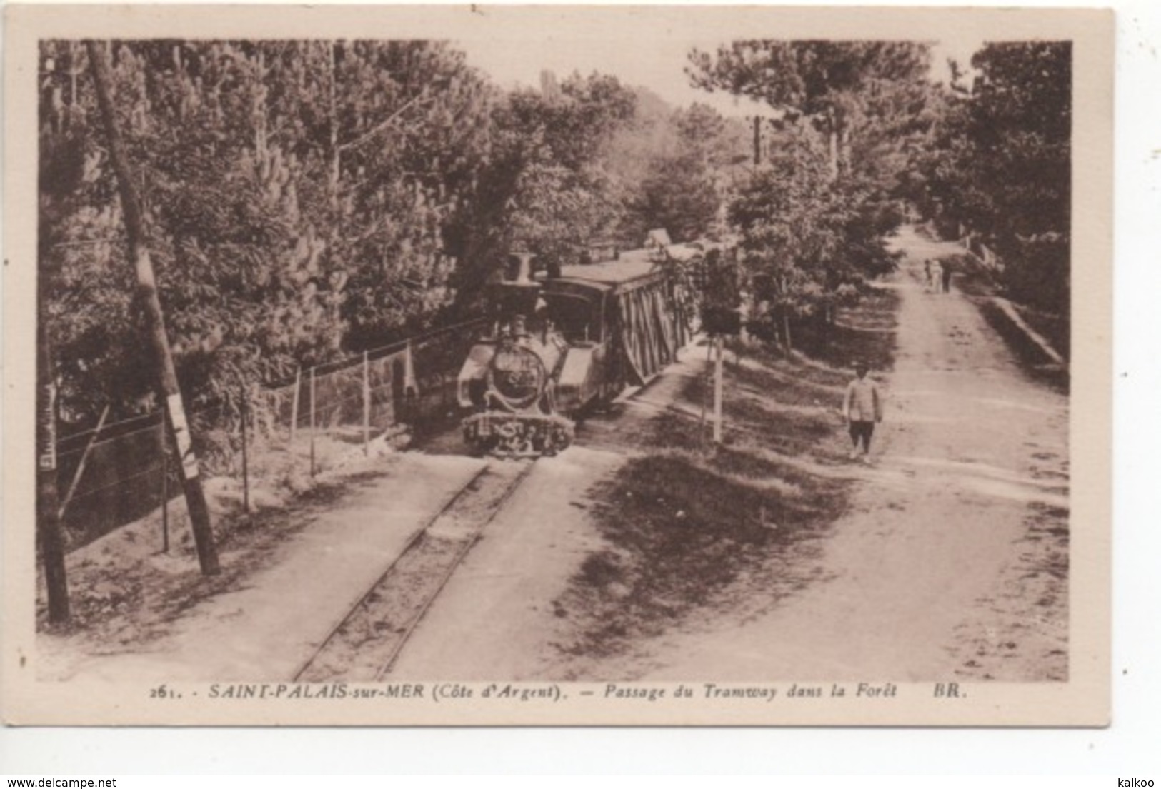 CP ( St Palais Sur Mer - Passage Du Tramway Dans La Foret ) - Saint-Palais-sur-Mer