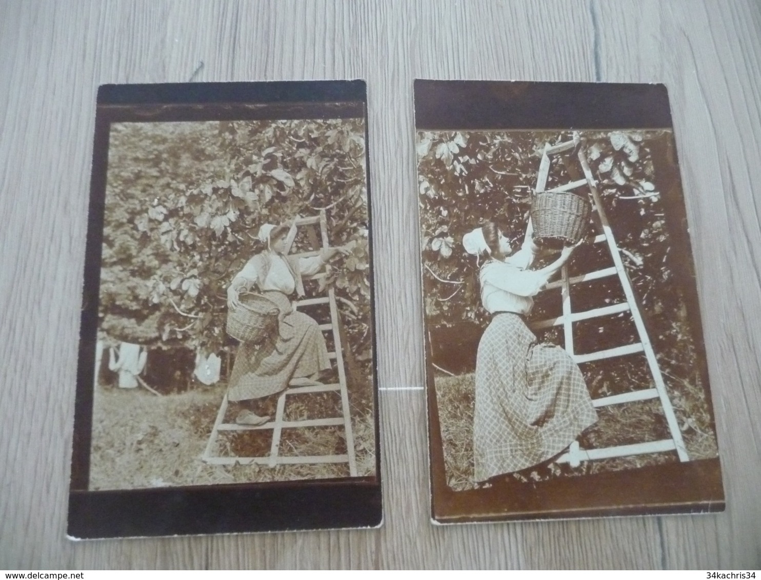 2 Cartes Photos Provence Arlésienne Cueillette De Figues Rare - Landbouw