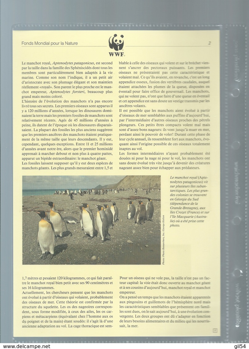 Falkland Islands 1991 King Penguin/Königspinguin WWF, Ensemble Complet -  Car116 - Lots & Serien