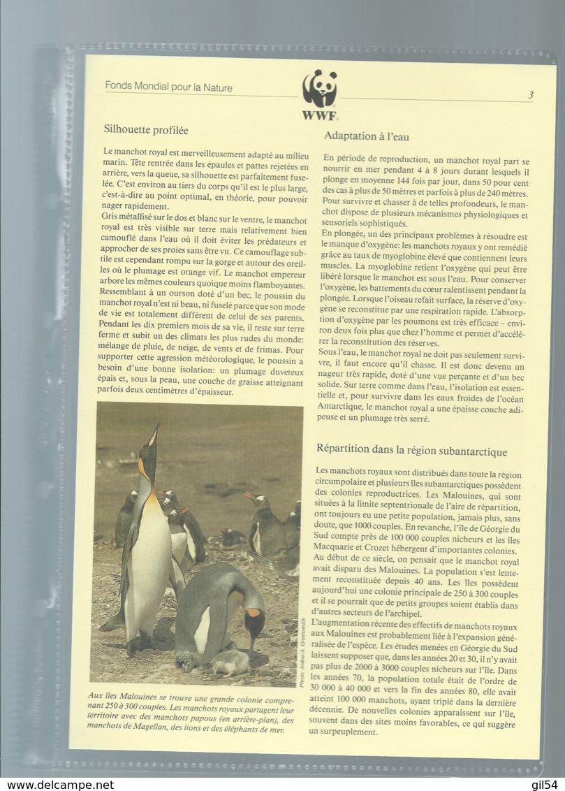 Falkland Islands 1991 King Penguin/Königspinguin WWF, Ensemble Complet -  Car116 - Colecciones & Series