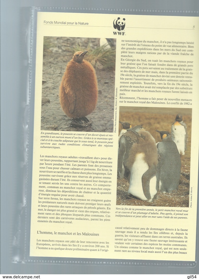 Falkland Islands 1991 King Penguin/Königspinguin WWF, Ensemble Complet -  Car116 - Lots & Serien