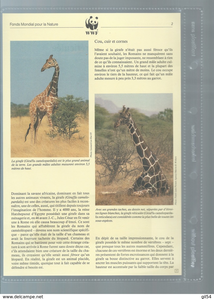 KENYA - 1989 - PROTECTION DE LA NATURE - LA GIRAFE RETICULEE - WWF - N° 474/477, Ensemble Complet -  Car117 - Verzamelingen & Reeksen