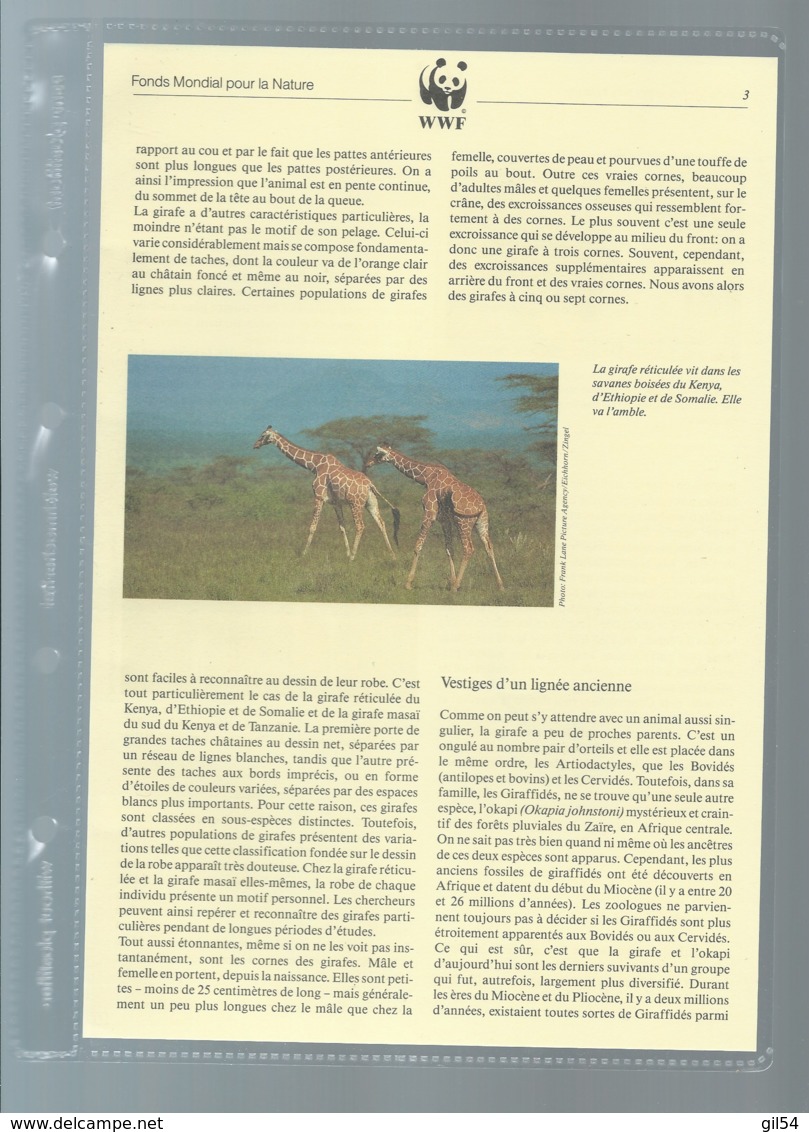 KENYA - 1989 - PROTECTION DE LA NATURE - LA GIRAFE RETICULEE - WWF - N° 474/477, Ensemble Complet -  Car117 - Colecciones & Series