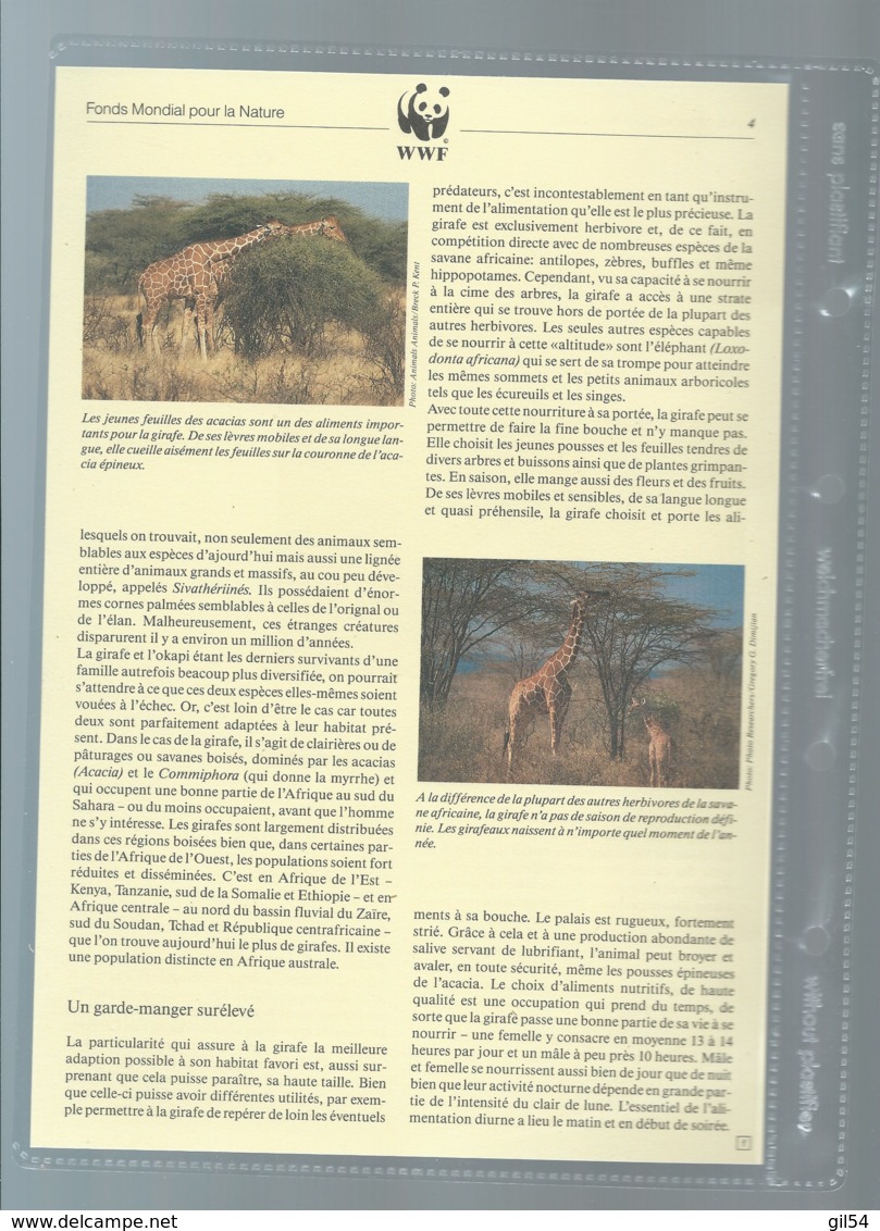 KENYA - 1989 - PROTECTION DE LA NATURE - LA GIRAFE RETICULEE - WWF - N° 474/477, Ensemble Complet -  Car117 - Colecciones & Series