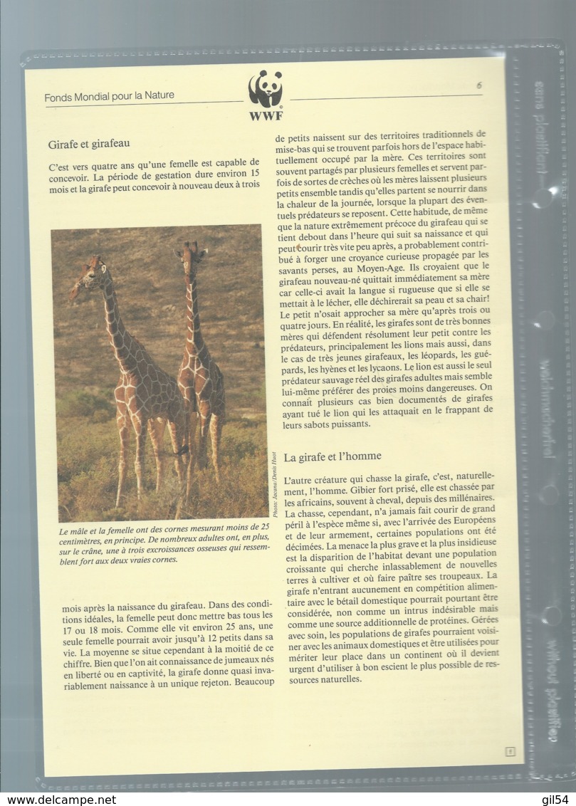 KENYA - 1989 - PROTECTION DE LA NATURE - LA GIRAFE RETICULEE - WWF - N° 474/477, ensemble complet -  car117