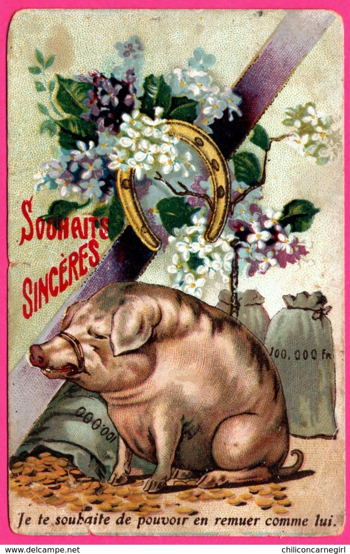 Cp Taxée - Pig - Cochon - Souhaits Sincères - " Je Te Souhaite De Pouvoir En Remuer Comme Lui " - Argent - 1931 - Cerdos