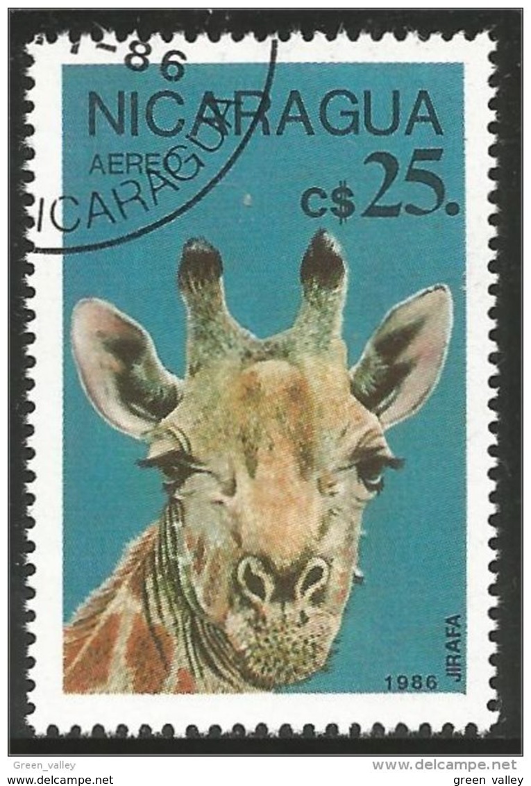 684 Nicaragua Giraffe Girafe (NIC-352) - Giraffe