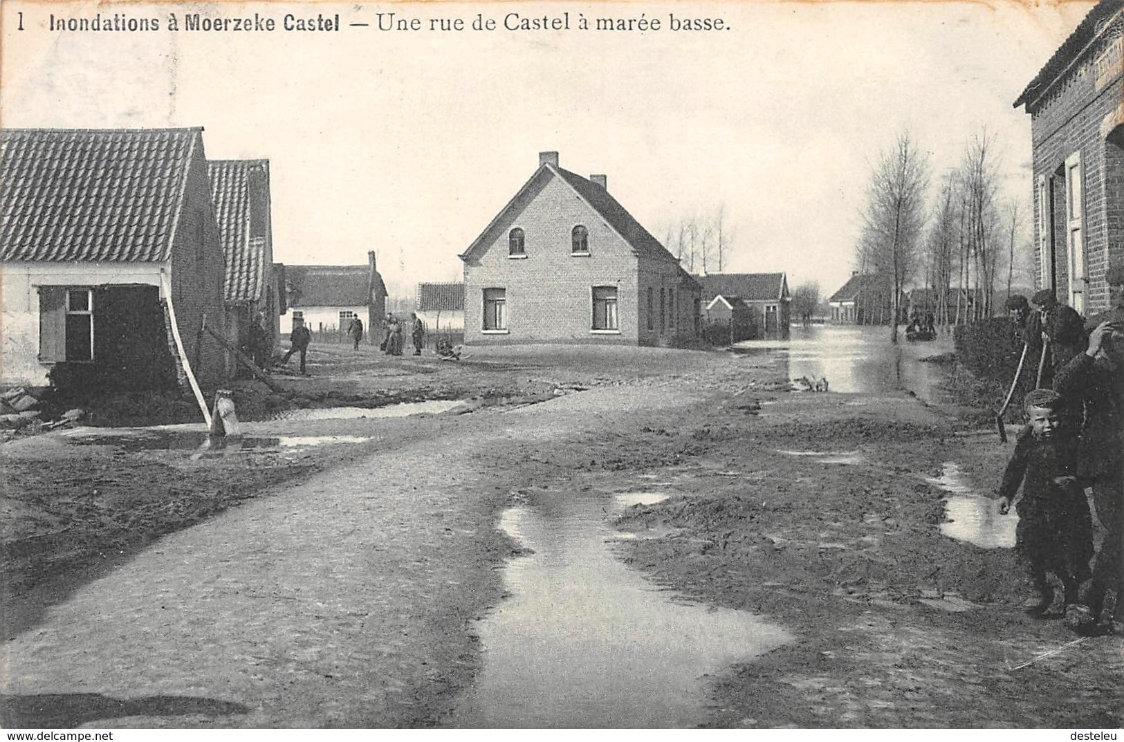 Une Rue De Castel à Marée Basse - Inondations à Moerzeke Castel - Hamme