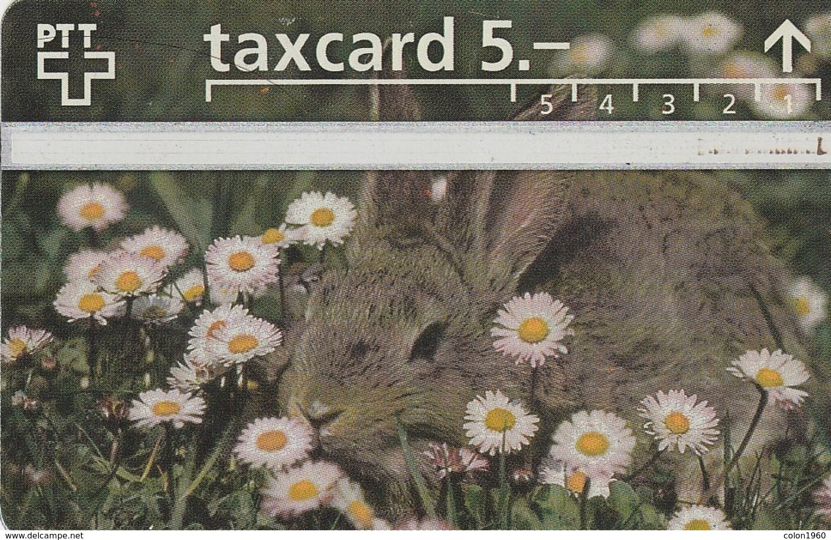 SUIZA. Rabbit. 624A. 04/1996. S053.A-P53. (317). - Lapins