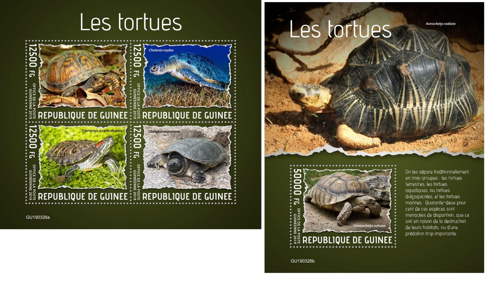 Guinee 2019 Turtles Fauna Turtle MS+S/S GU190326 - Spiders