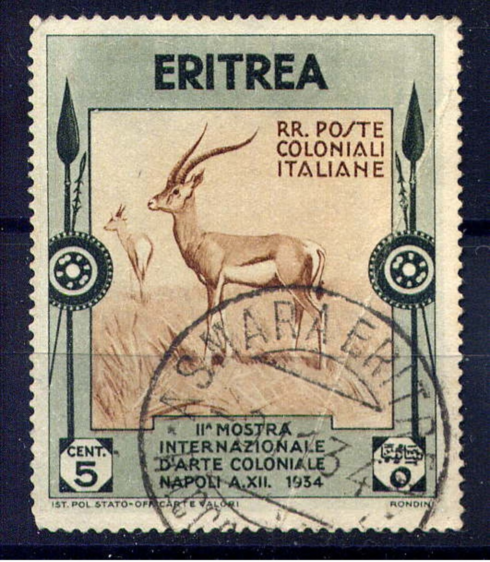 ERYTHREE - 212° - GAZELLES DORCAS - Eritrea