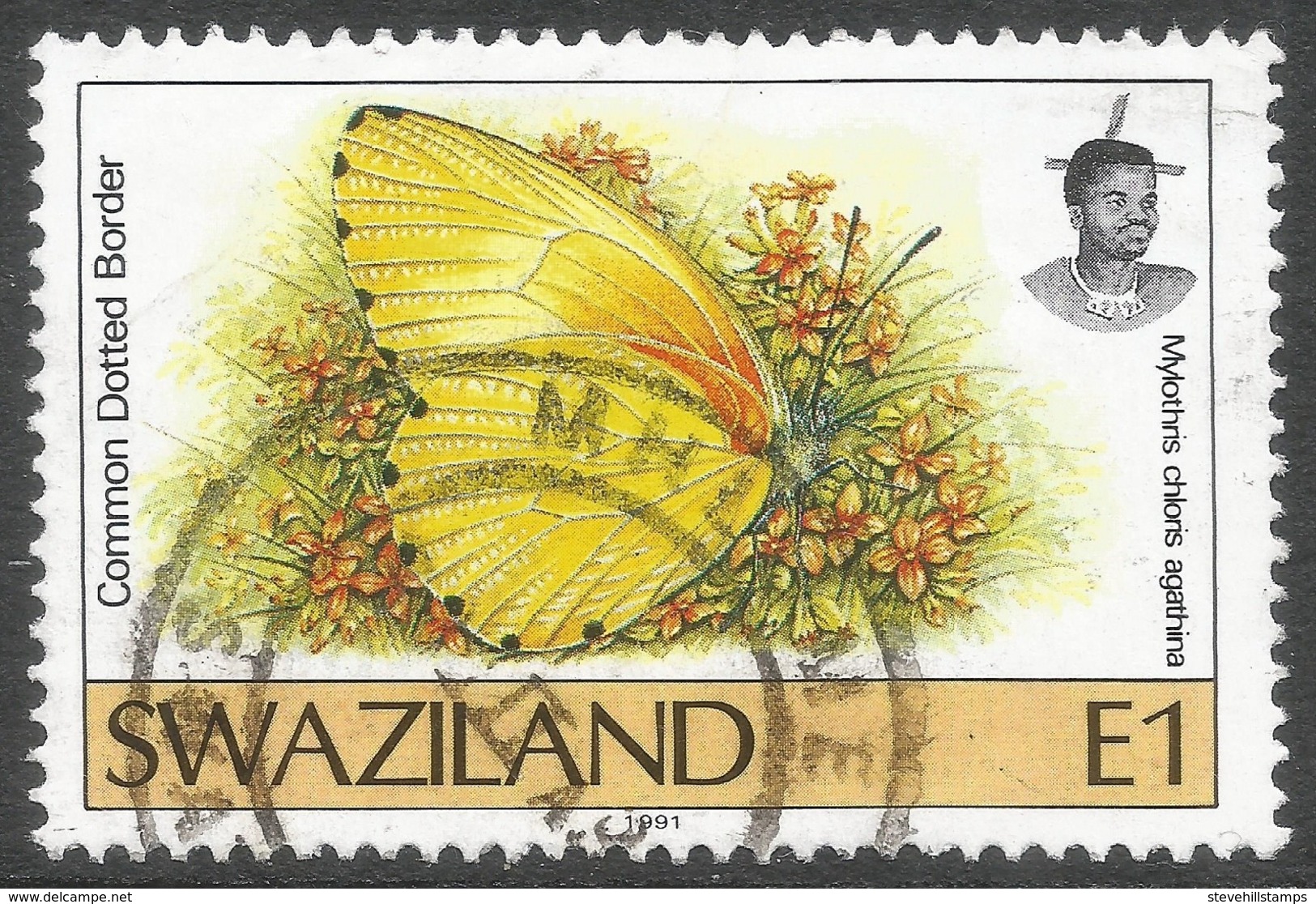 Swaziland. 1992 Butterflies (2nd Series). 1e Used. SG 617 - Swaziland (1968-...)