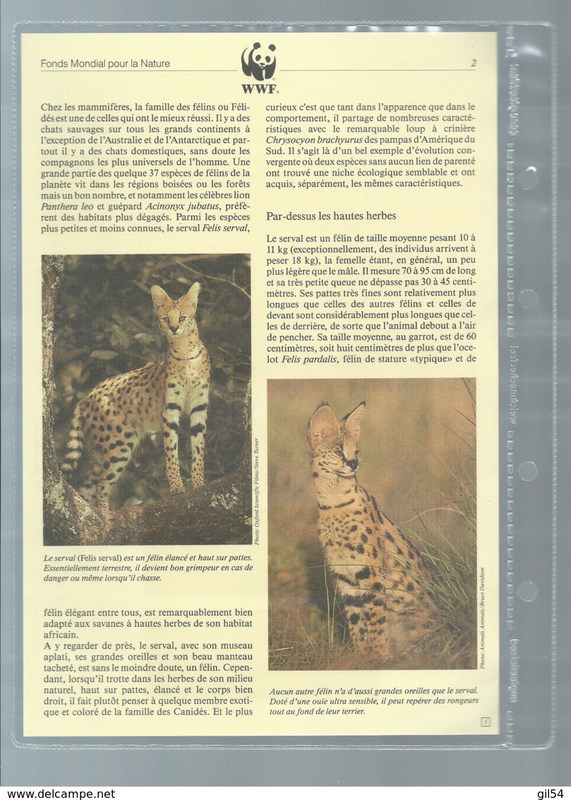 Burundi - 1992 WWF Serval ** Ensemble Complet 10 Scans   -  Car 120 - Collections, Lots & Series