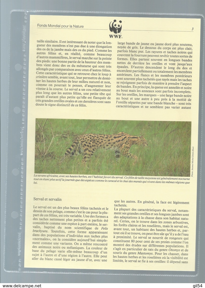 Burundi - 1992 WWF Serval ** Ensemble Complet 10 Scans   -  Car 120 - Collections, Lots & Series