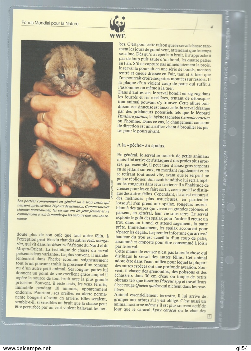 Burundi - 1992 WWF Serval ** Ensemble Complet 10 Scans   -  Car 120 - Collections, Lots & Séries