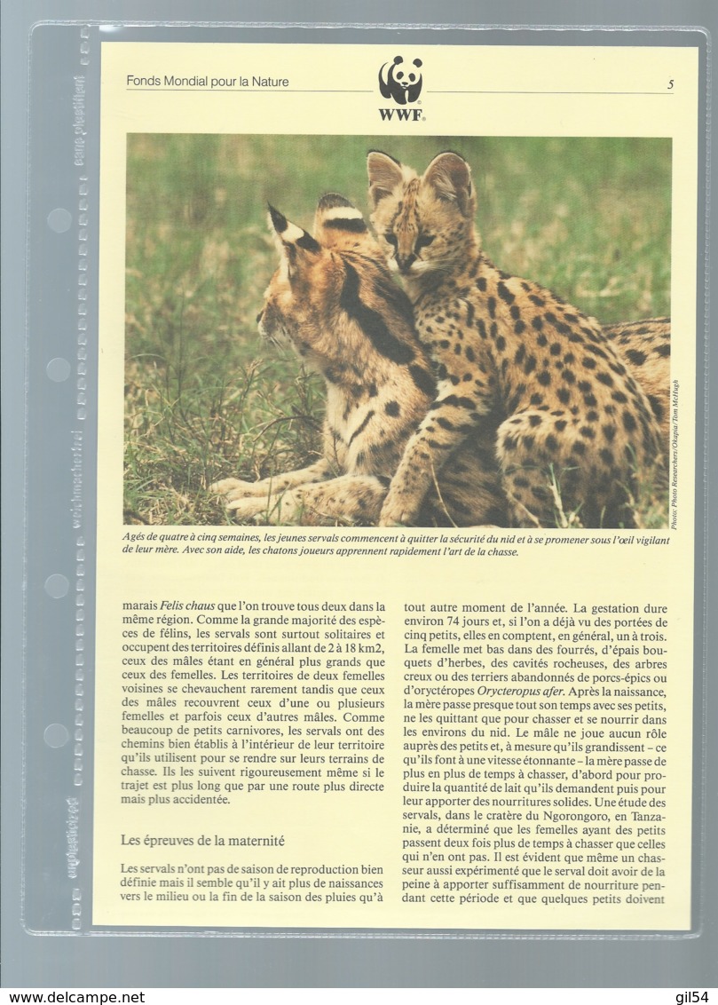 Burundi - 1992 WWF Serval ** Ensemble Complet 10 Scans   -  Car 120 - Lots & Serien