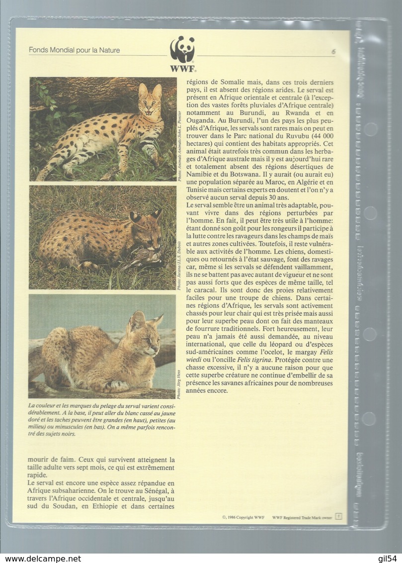 Burundi - 1992 WWF Serval ** ensemble complet 10 scans   -  car 120