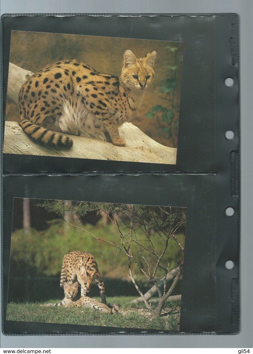 Burundi - 1992 WWF Serval ** ensemble complet 10 scans   -  car 120
