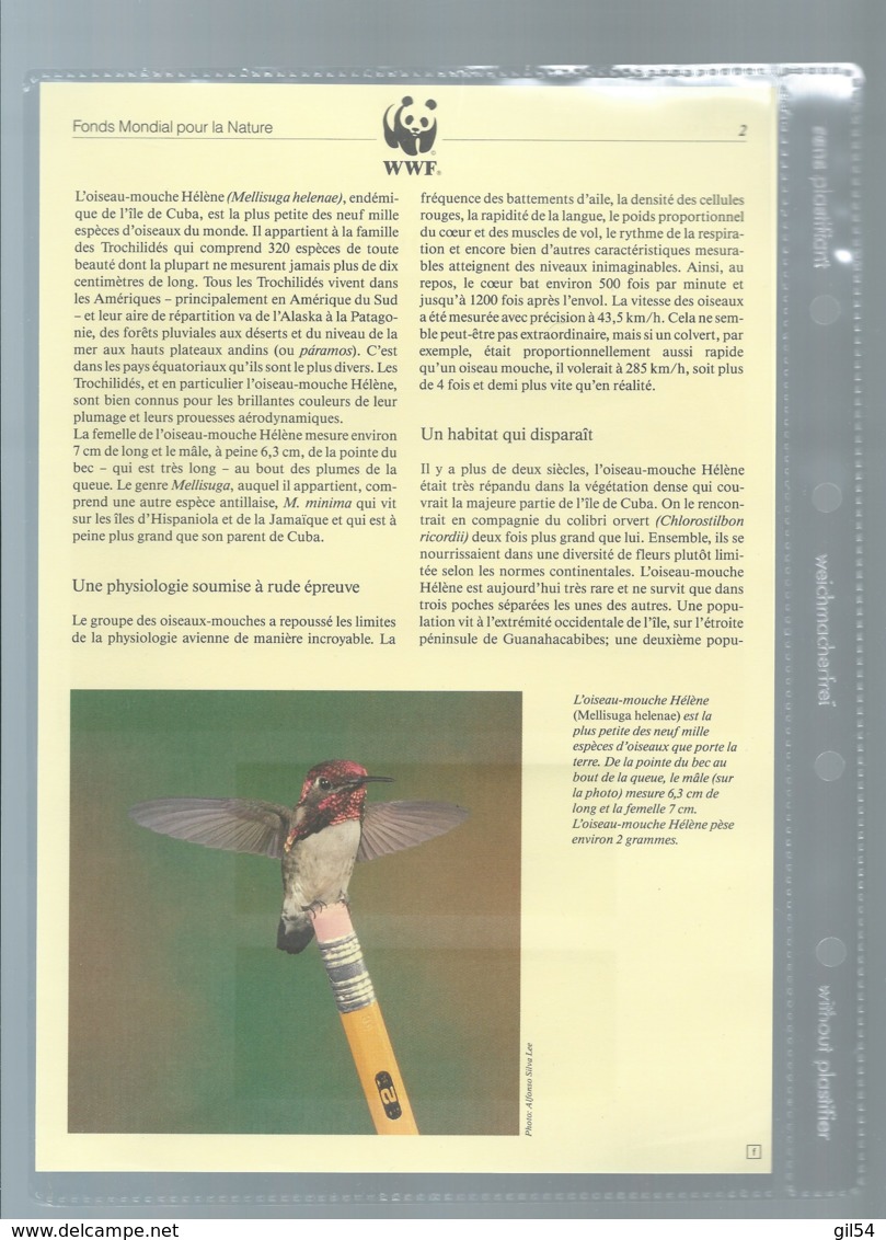 Cuba - 1992 - N°Yv. 3224 à 3227 - Oiseau-mouche / WWF Ensemble Complet 10 Scans   -  Car 121 - Collections, Lots & Séries